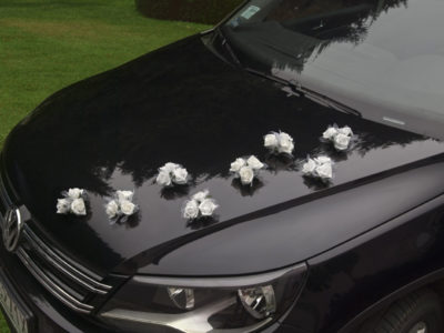 10 Rose ventosa bianche per auto sposi