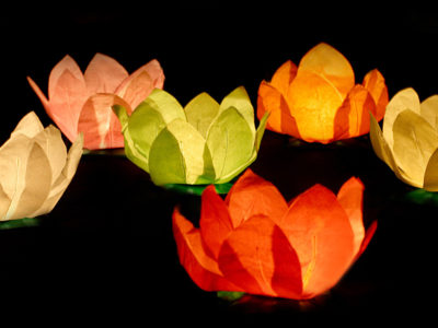 6 lanterne galleggianti fiori
