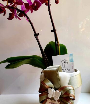 Bomboniera Floreale Orchidea