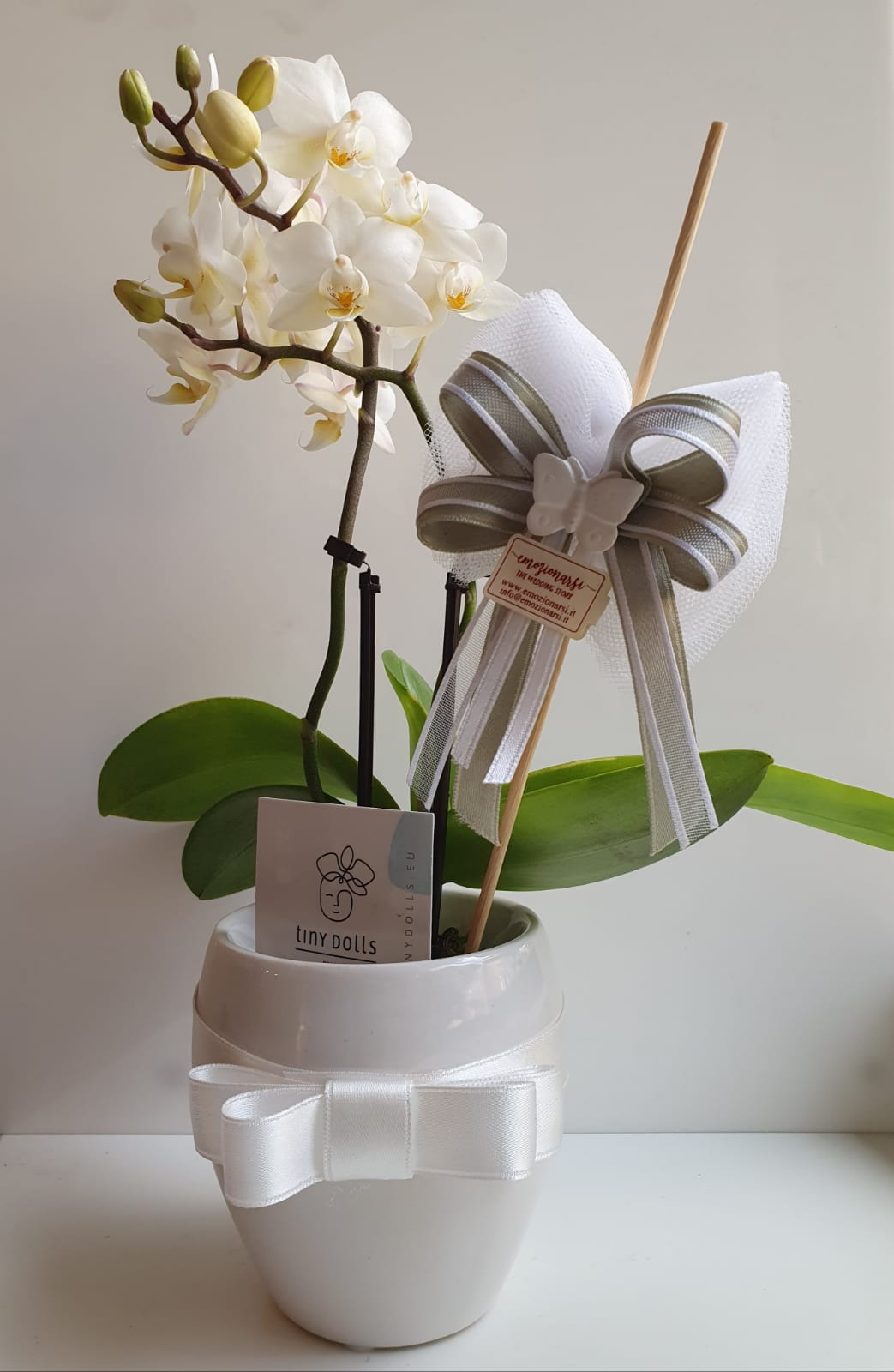 Bomboniera Floreale Orchidea Mini con Vasetto Bianco